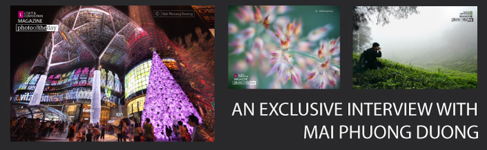 An Exclusive Interview with Mai Phuong