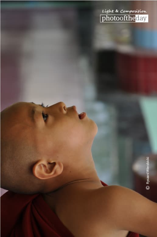 Looking Up, by Ryszard Wierzbicki