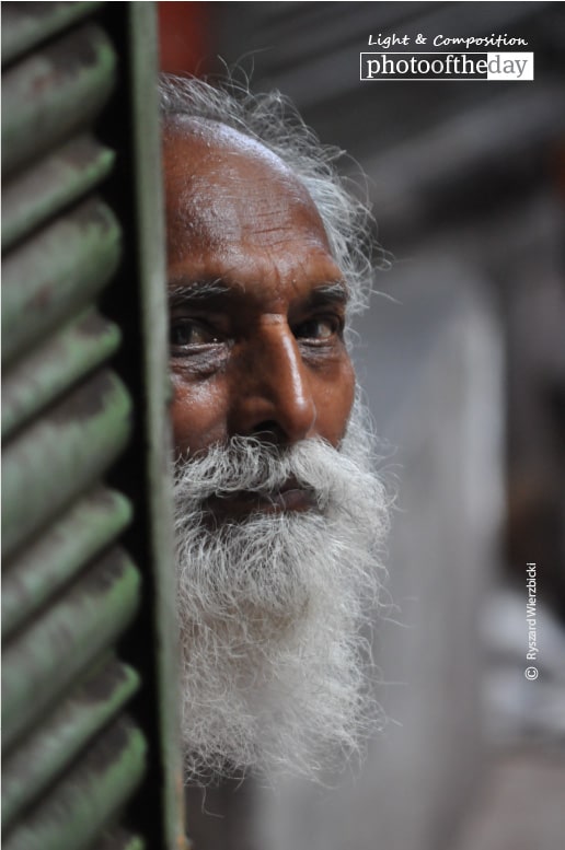 A Grey Bearded Man, by Ryszard Wierzbicki A Grey Bearded Man, by Ryszard Wierzbicki