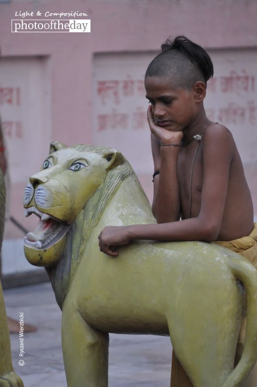 A Novice Thinker, by Ryszard Wierzbicki