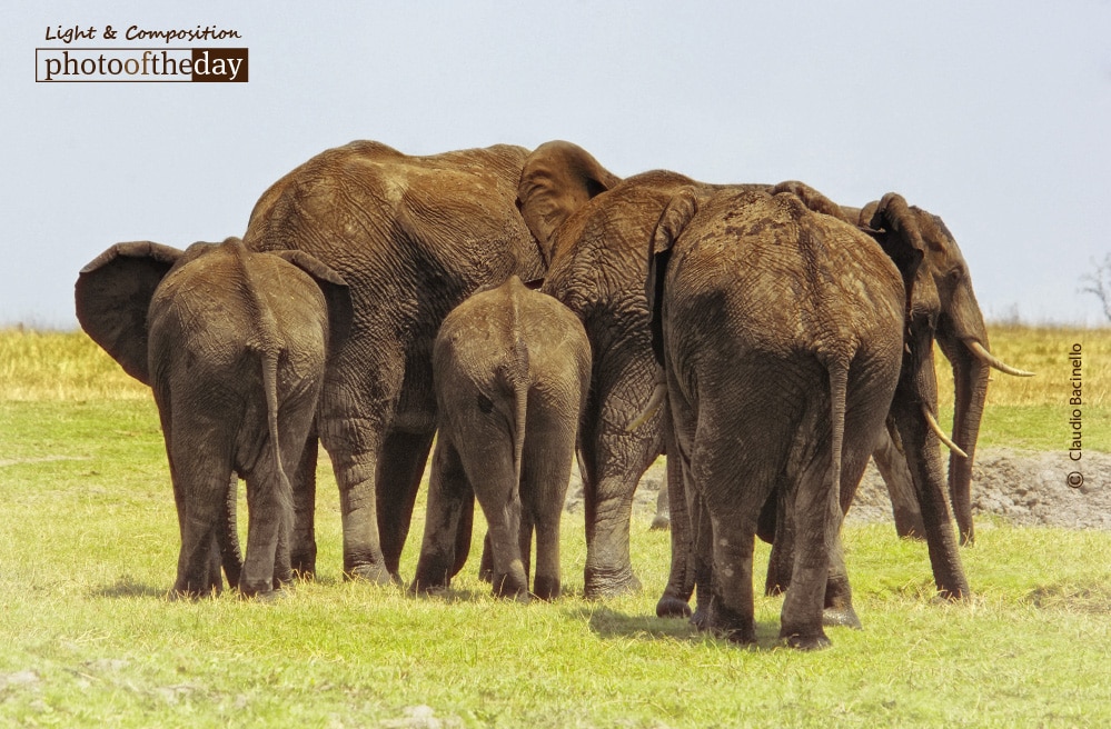 Making an Exit, by Claudio Bacinello Making an Exit, by Claudio Bacinello