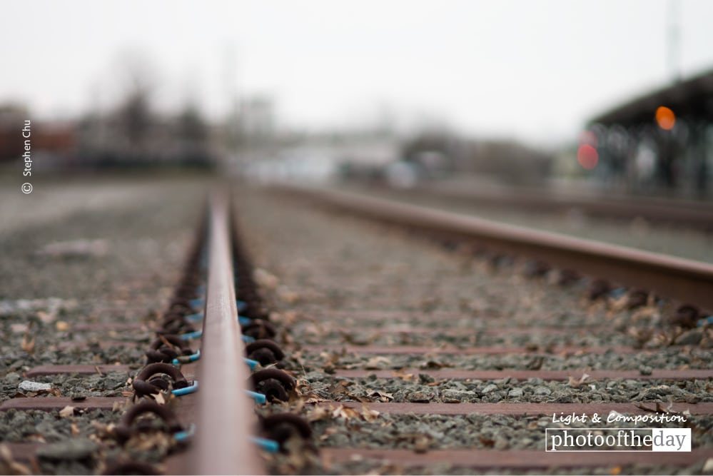 Trekkin, by Stephen Chu Trekkin, by Stephen Chu