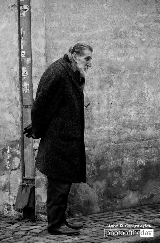 Local - Old Town, by Nilla Palmer