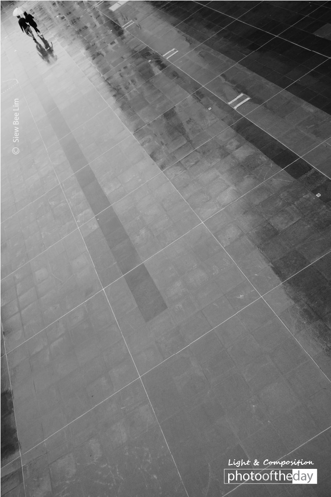 Sharing an Umbrella, by Siew Bee Lim Sharing an Umbrella, by Siew Bee Lim