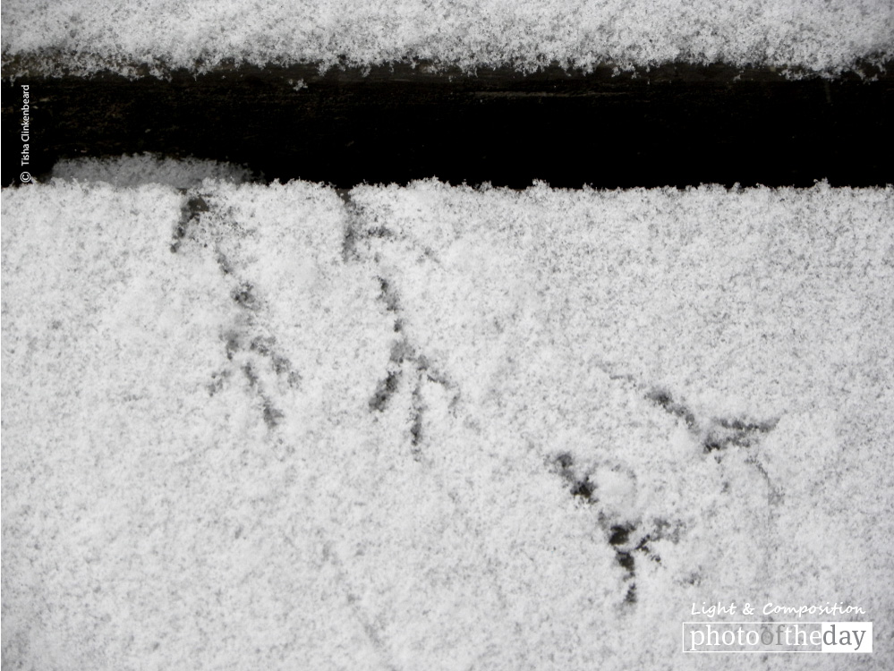 Tiny Footprints, by Tisha Clinkenbeard Tiny Footprints, by Tisha Clinkenbeard