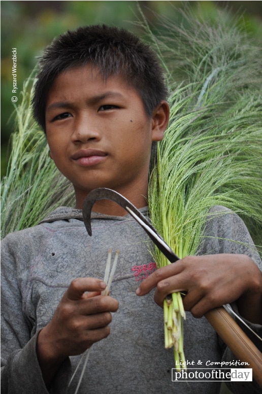 Haymaker, by Ryszard Wierzbicki Haymaker, by Ryszard Wierzbicki