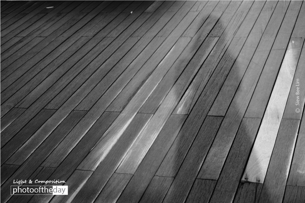 A Ray of Sunshine, by Siew Bee Lim A Ray of Sunshine, by Siew Bee Lim