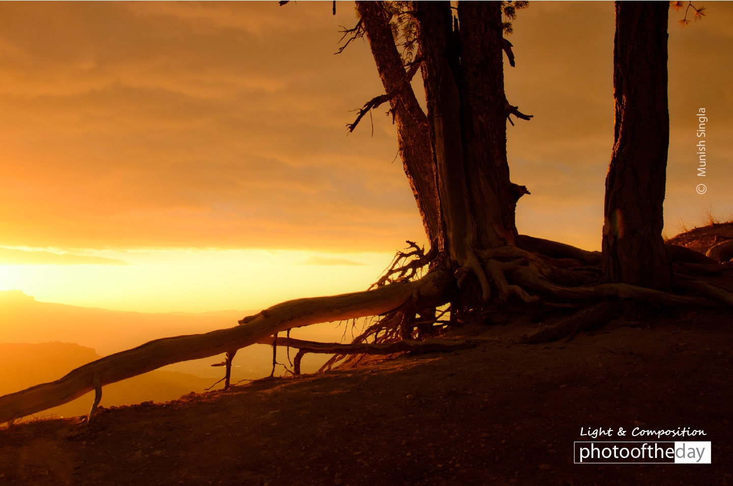 Misty Sunrise, by Munish Singla Misty Sunrise, by Munish Singla