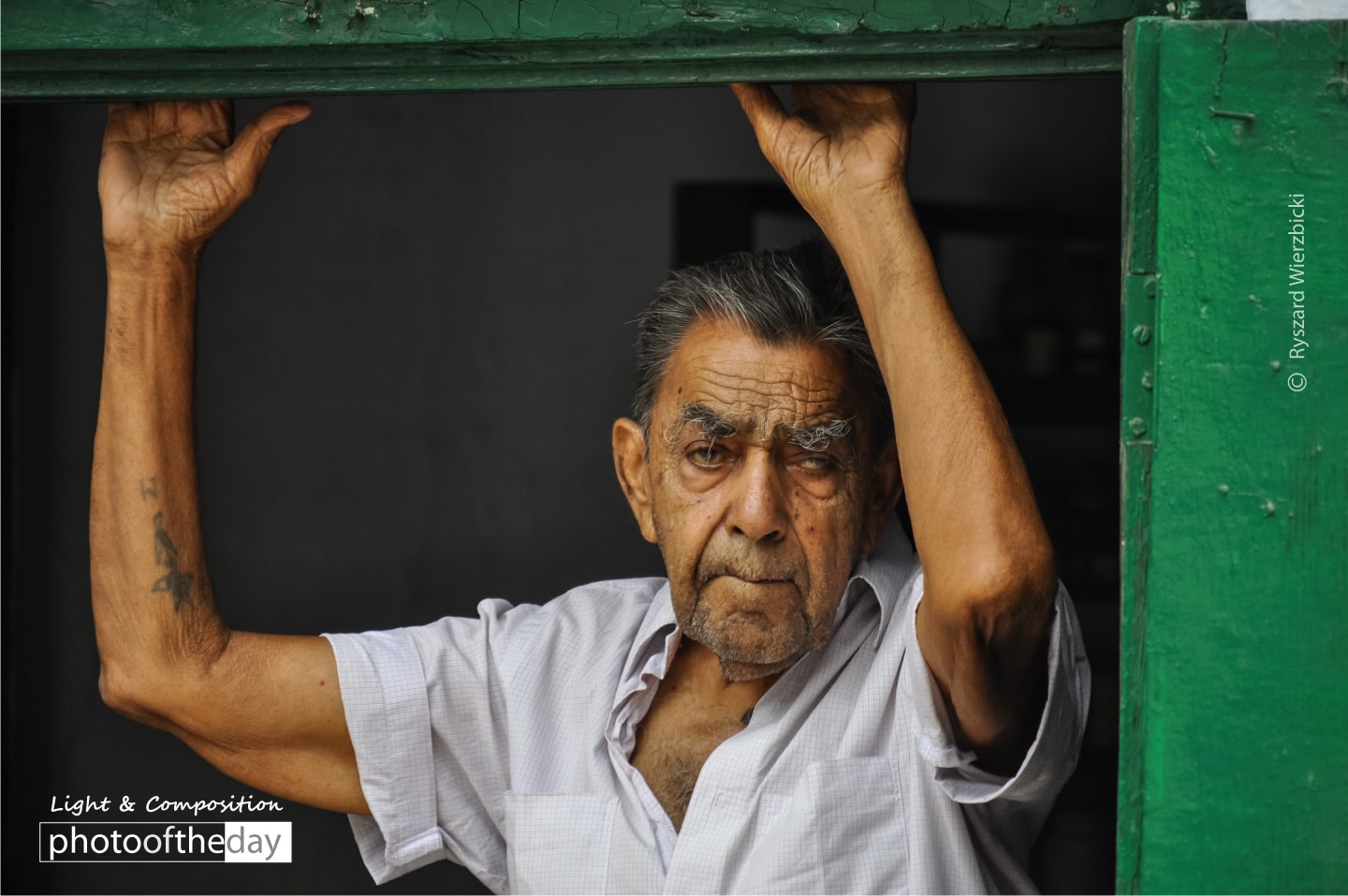 The Observer by Ryszard Wierzbicki The Observer by Ryszard Wierzbicki