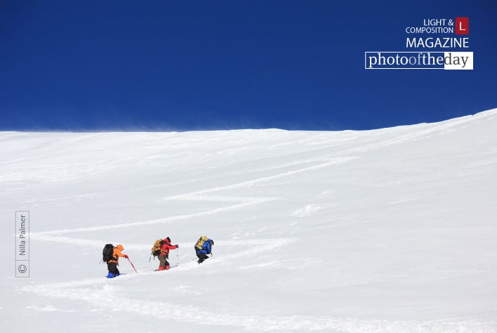 Ascent, by Nilla Palmer