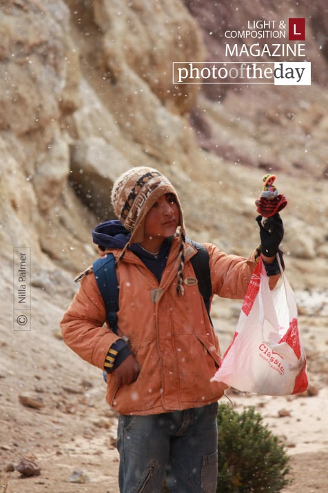 In All Weathers, by Nilla Palmer