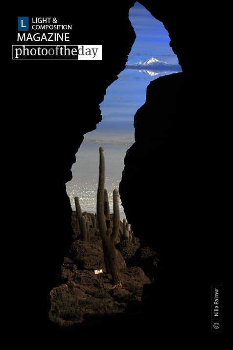 Cactus Island Glimpse, by Nilla Palmer Cactus Island Glimpse, by Nilla Palmer