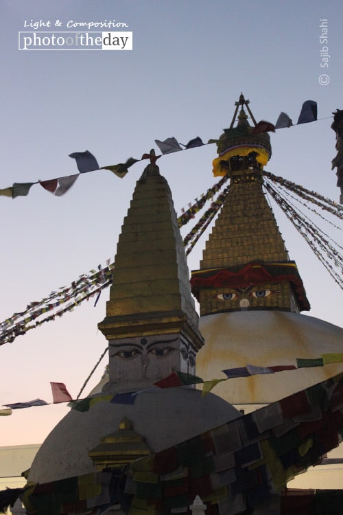 Wisdom Eyes, by Sajib Shahi Wisdom Eyes, by Sajib Shahi