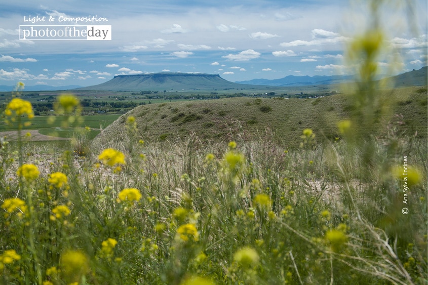 Fort Shaw, by Ana Sylvia Encinas
