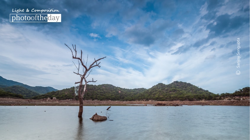 Alone, by Sanjoy Sengupta