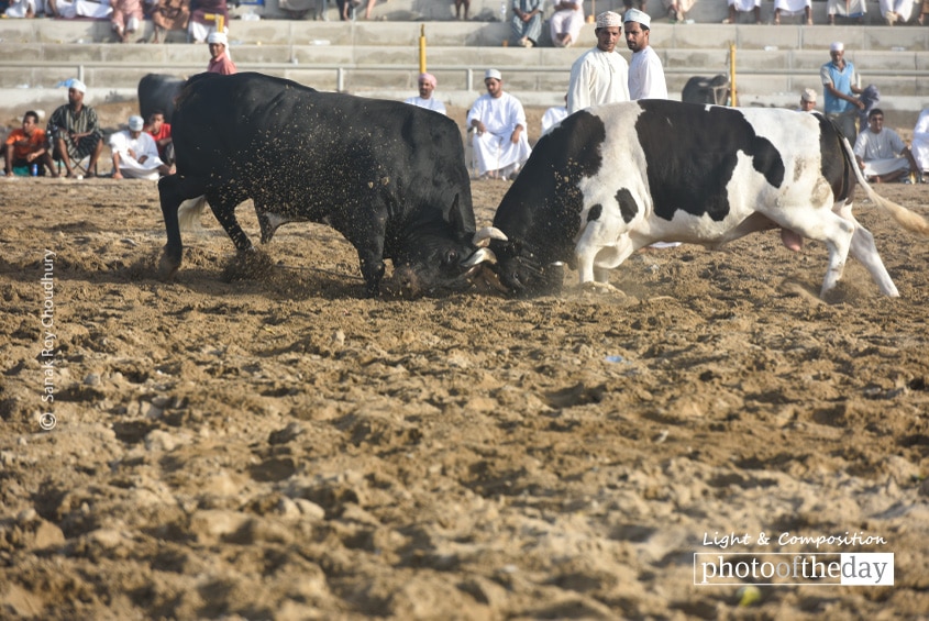 The Avalanche, by Sanak Roy Choudhury