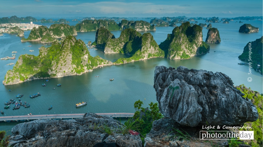 The View of the Bay, by Sanjoy Sengupta