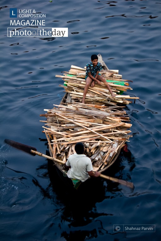 Lets Go Back Home, by Shahnaz Parvin