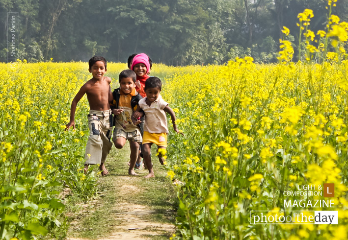 Make a Run by Shahnaz Parvin