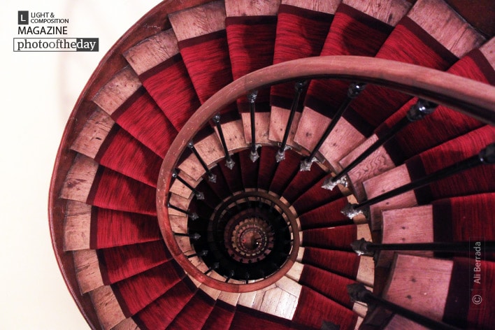 Nautilus, by Ali Berrada