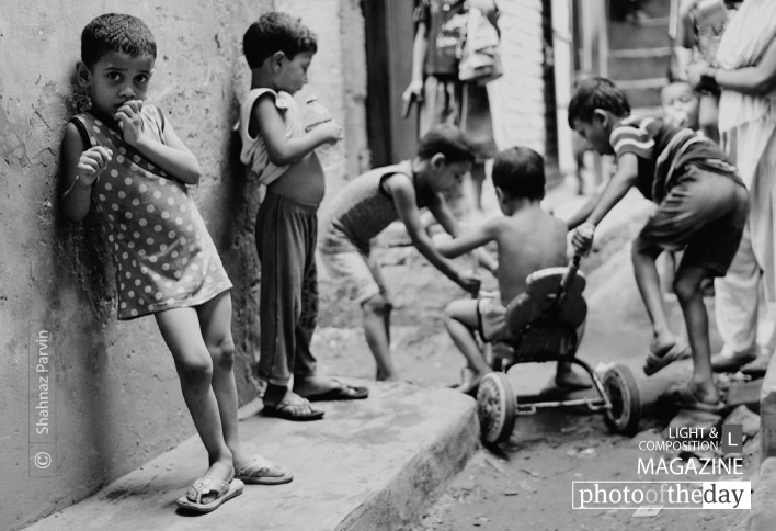 Single Frame, by Shahnaz Parvin Single Frame, by Shahnaz Parvin