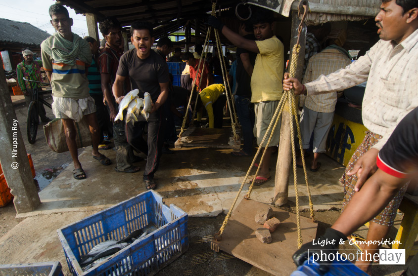 Bickering, by Nirupam Roy Bickering, by Nirupam Roy