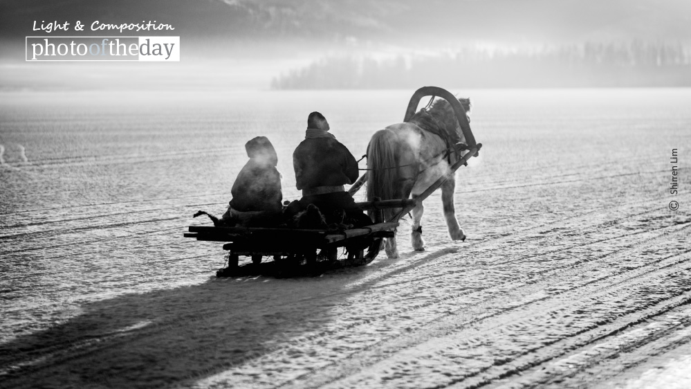 Frosted, by Shirren Lim