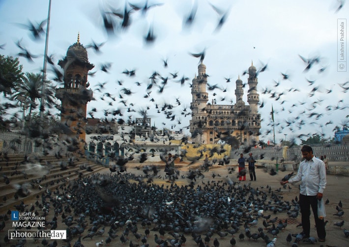 Elusive Silence Elusive Silence