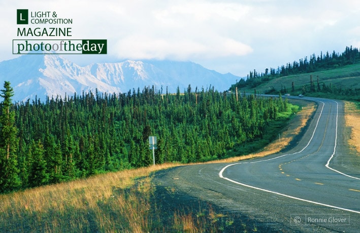 Rush Hour in Rural Alaska, by Ronnie Glover Rush Hour in Rural Alaska, by Ronnie Glover