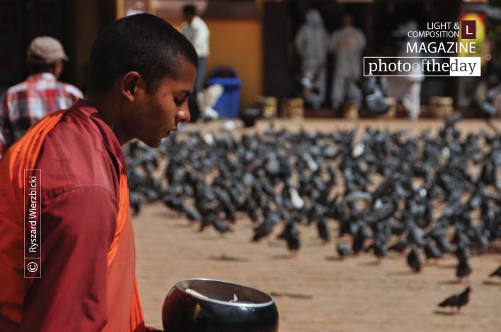 Donation, by Ryszard Wierzbicki Donation, by Ryszard Wierzbicki