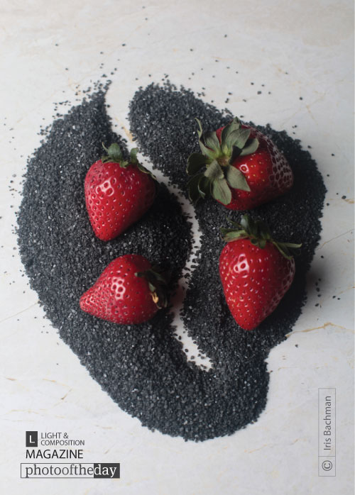 Fruit of the Womb, by Iris Bachman