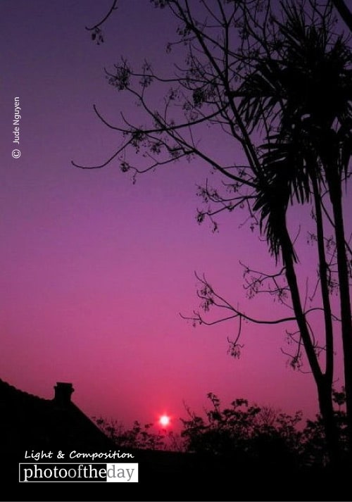 Purple Sunset, by Jude Nguyen Purple Sunset, by Jude Nguyen