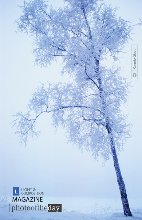 Winter Day, by Ronnie Glover