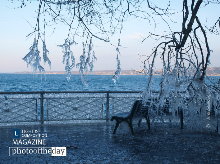 I said freeze!, by Jana Z