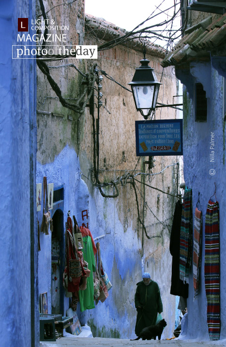 Crossing my Path, by Nilla Palmer