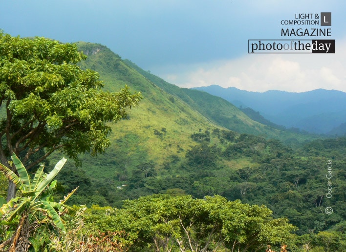 Green Venezuela, by Oscar Garcia