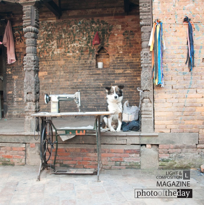 I'll Wait Right Here, by Jana Z