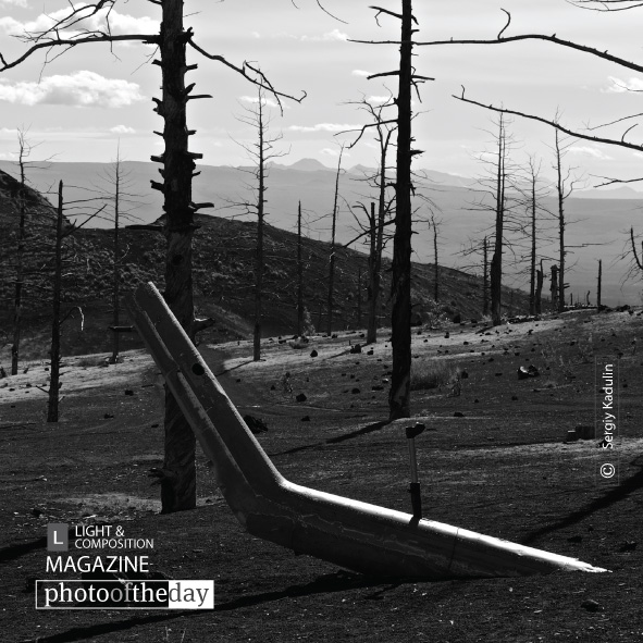 Geometry of Dead Forest, by Sergiy Kadulin Geometry of Dead Forest, by Sergiy Kadulin