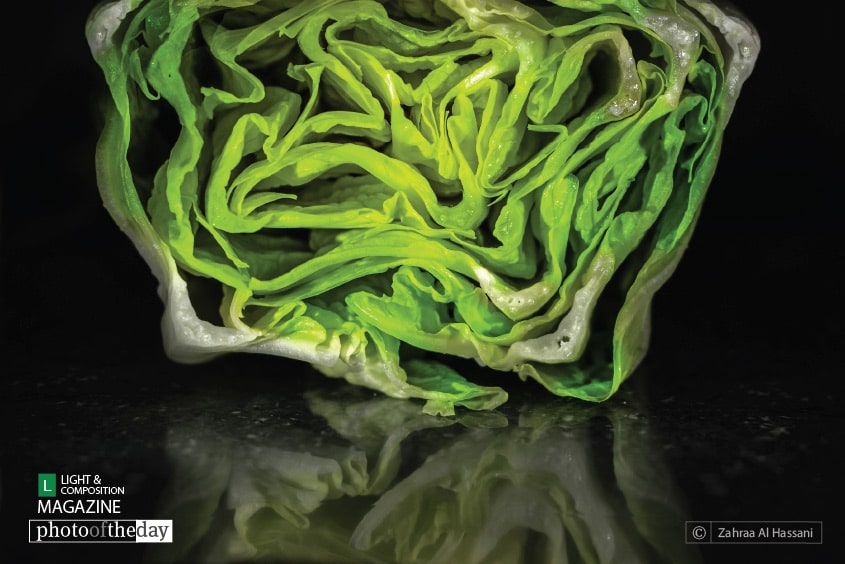 Allah is the Designer, by Zahraa Al Hassani Allah is the Designer, by Zahraa Al Hassani