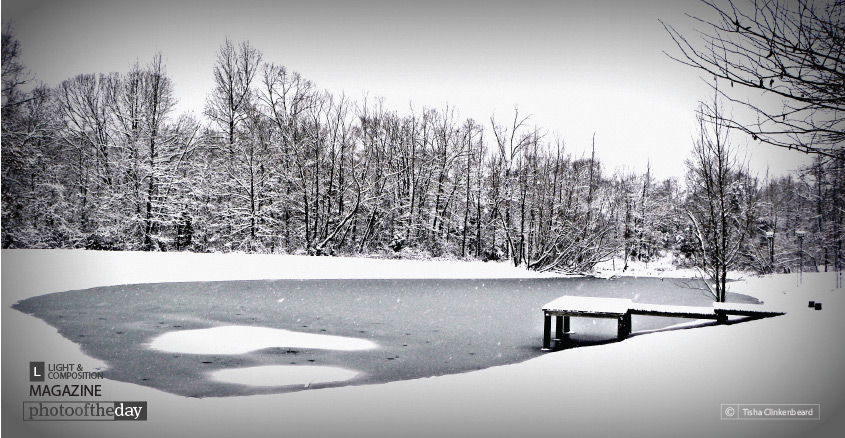 Snowy Winter Day, by Tisha Clinkenbeard