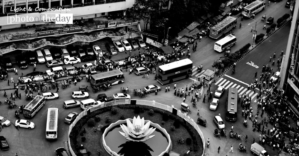 Shapla Chottor, by Yasef Imroze