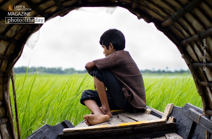 Lost in the green, by Shahnaz Parvin Lost in the green, by Shahnaz Parvin