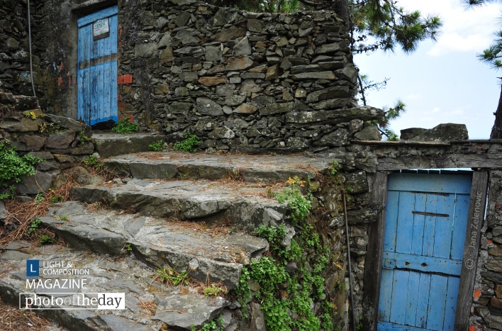 Pick a Door, by Jana Z