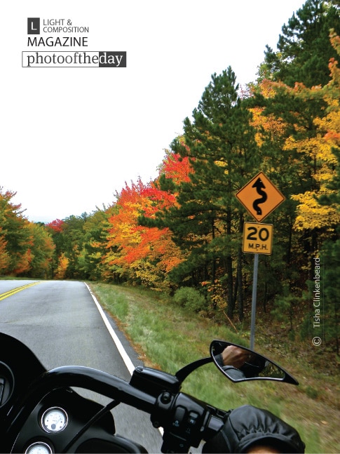 From the Back of the Bike, by Tisha Clinkenbeard From the Back of the Bike, by Tisha Clinkenbeard