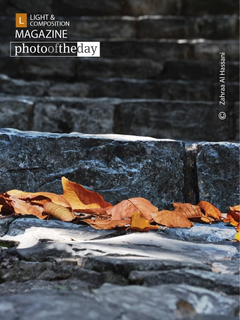 When Leaves Fall Down, by Zahraa Al Hassani