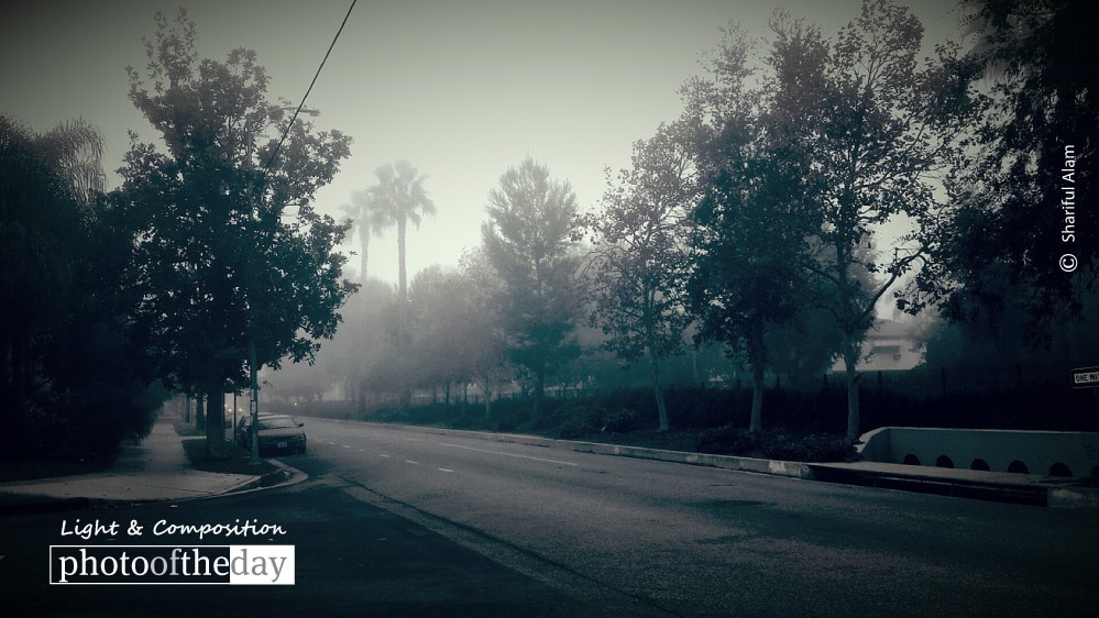 When It's Cloudy, by Shariful Alam