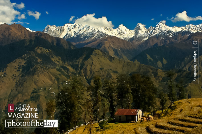 Solitude, by Debjani Chowdhury