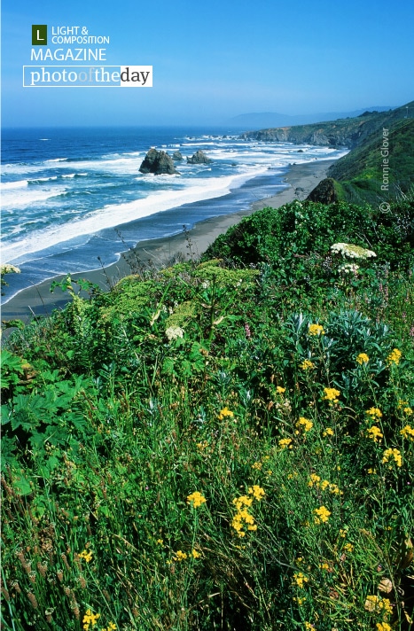 Ski Trail, by Ronnie Glover