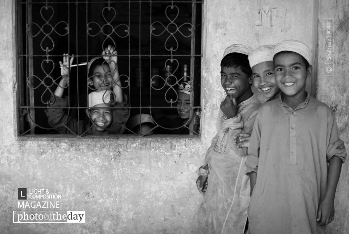 Sudden Joy, by Shahnaz Parvin