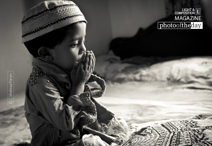 Grant My Prayers, by Shahnaz Parvin